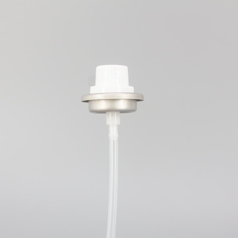 1 inch spray can valve